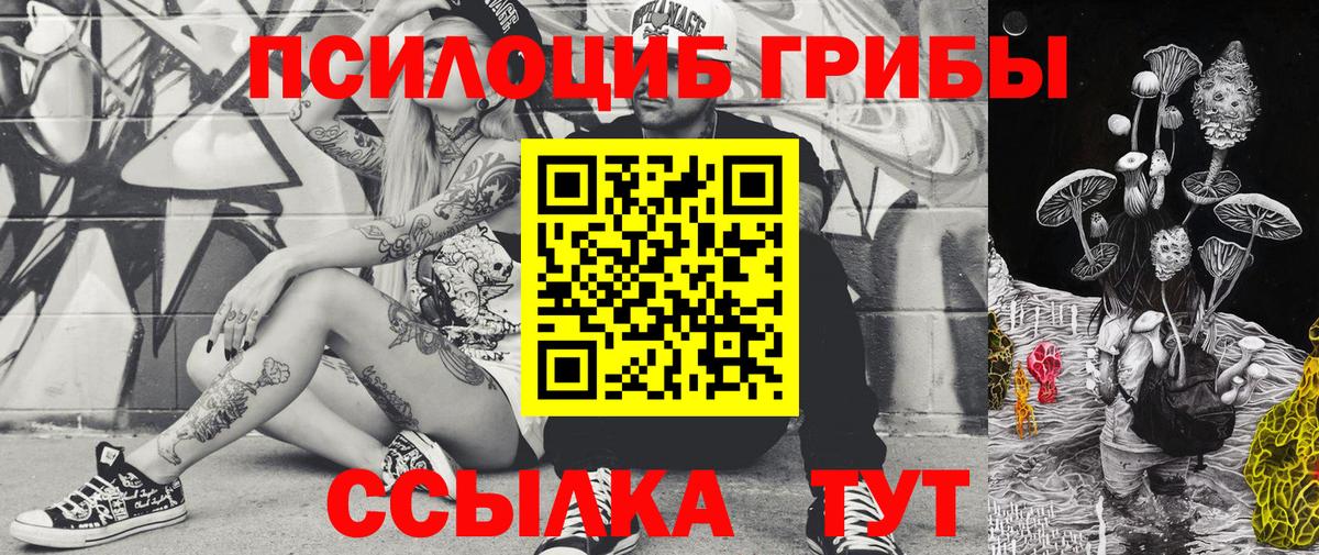 Псилоцибиновые грибы мицелий  Вход с VPN  Галлюциногенные грибы Psilocybe  Иваново 
